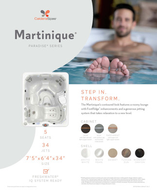 Paradise Spa Stand Collated Graphic Set PK6