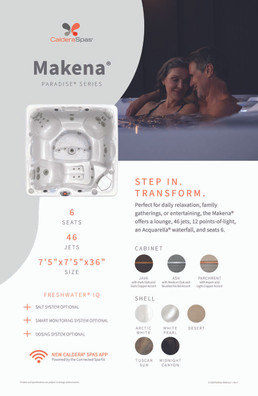 2026 Paradise Series Spa Stand Graphic Set - 11 x 17 PK6
