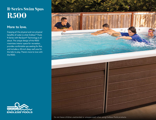 R500 Sell Sheet - Pack of 25 |  2026