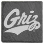 UM Griz Coaster