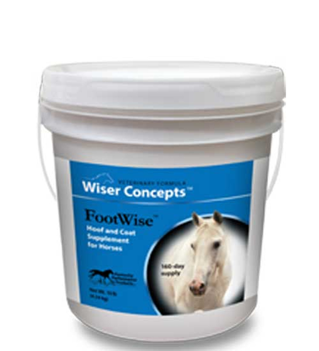 Wiser Concepts® Footwise™ - 10 lb