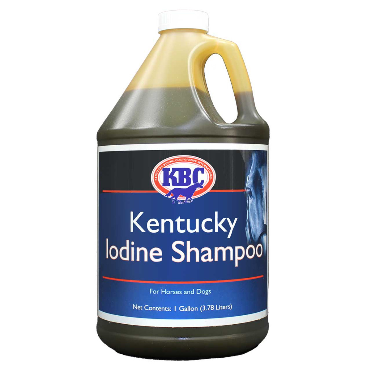 Kentucky Iodine Shampoo - Gallon