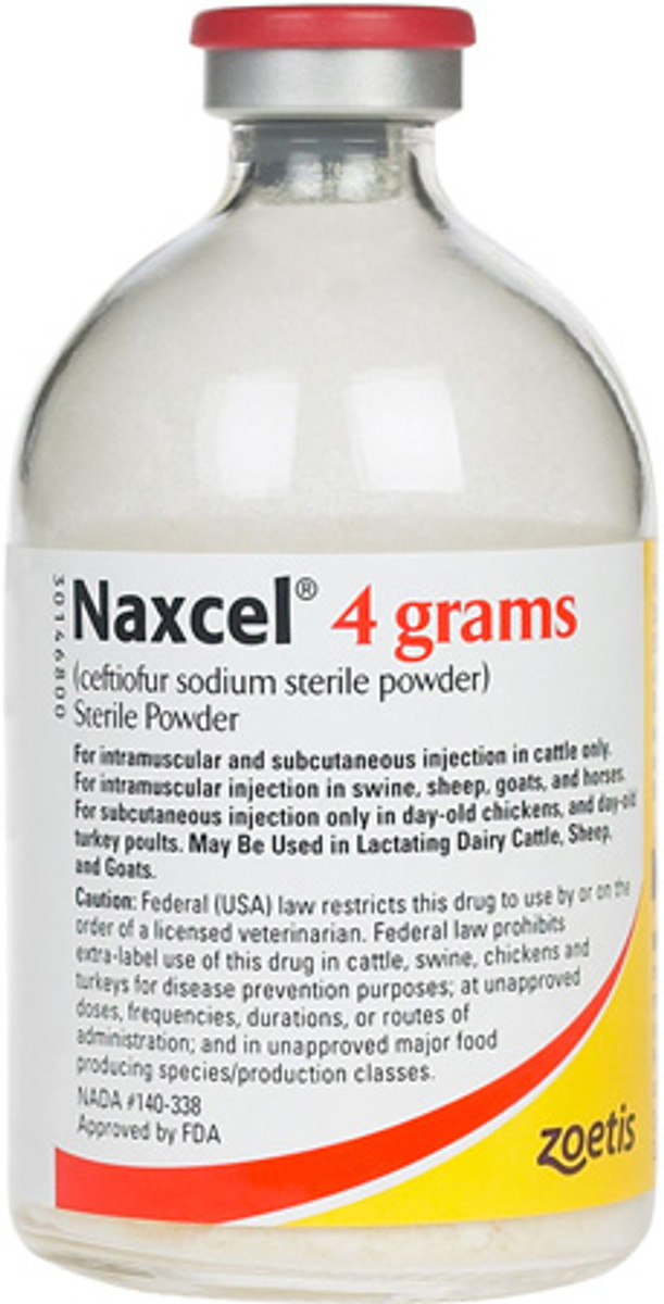 Naxcel® Sterile Powder (Rx) - 4 gm