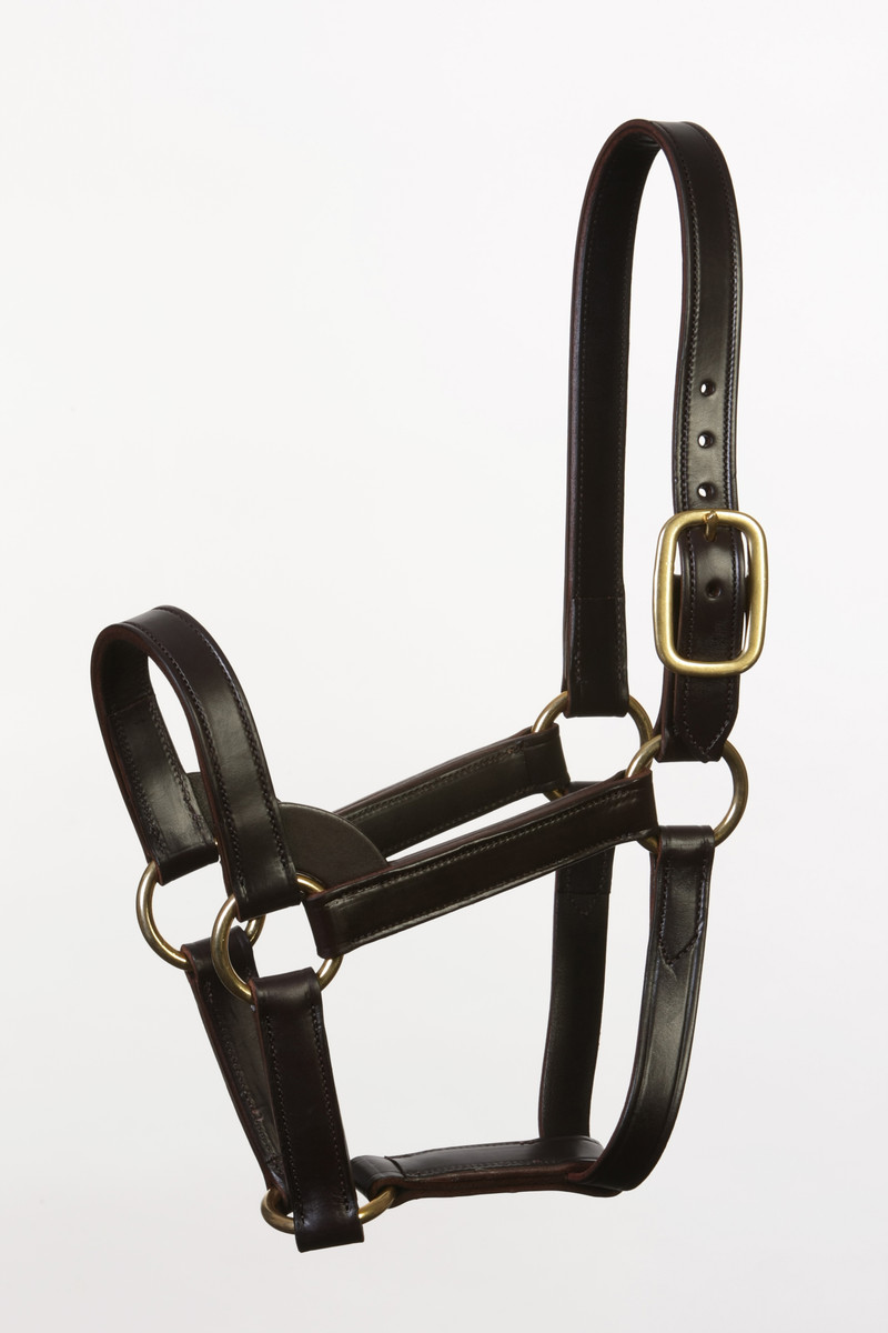 Stallion Turnout Halter