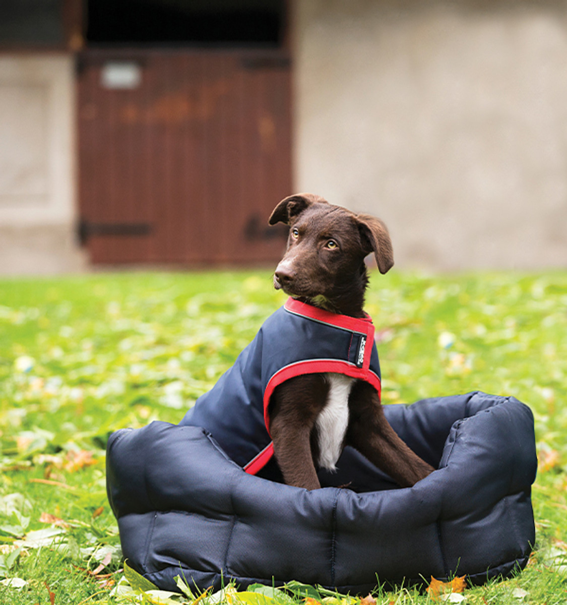 Rambo® Waterproof Dog Blanket Rambo® Waterproof Dog Blanket