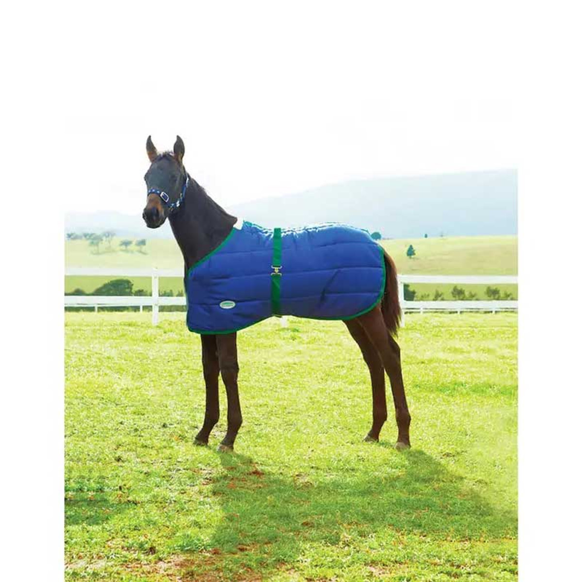 Weatherbeeta® 420D Foal Quilted Blanket