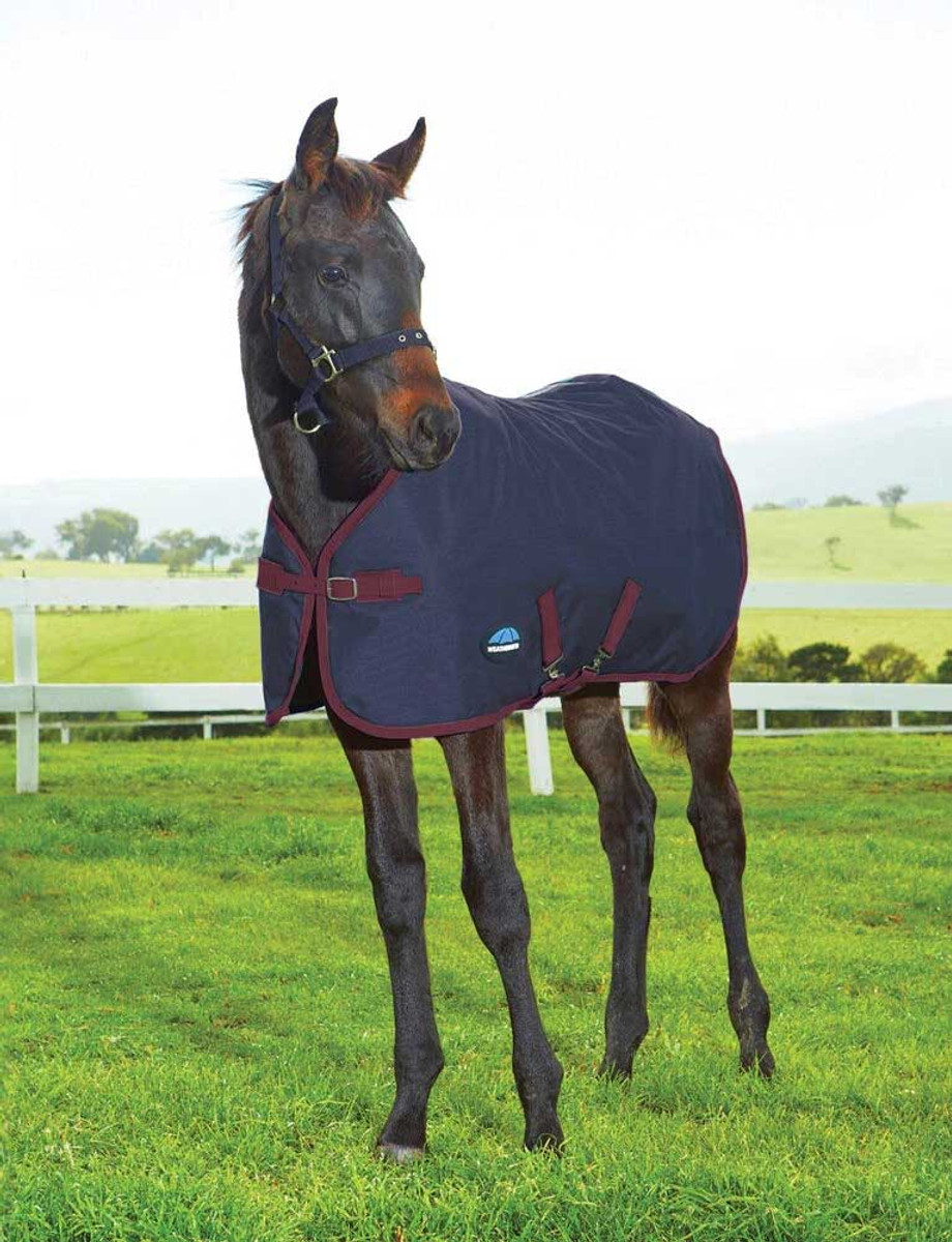 Weatherbeeta® 420D Foal Quilted Blanket