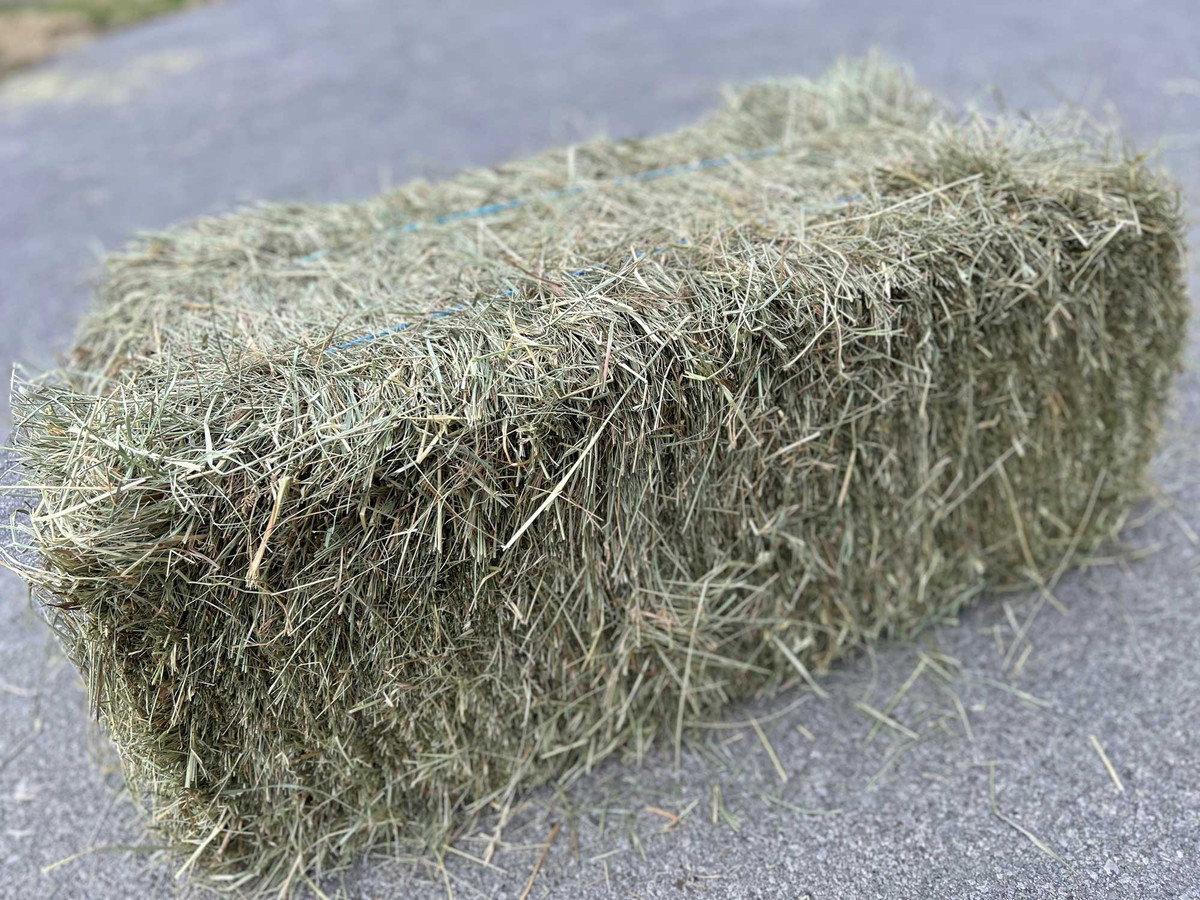 Kentucky Grass Hay - 2 String