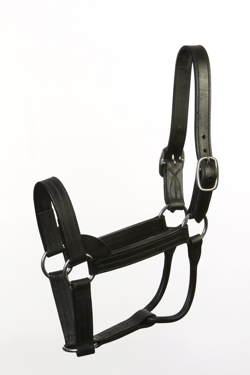 Stallion Halter - Black Leather Stallion Halter - Black Leather