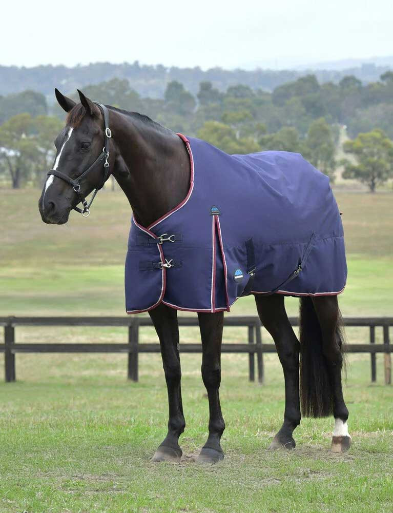 Weatherbeeta® ComFiTec™ Essential Turnout Standard Neck Blanket - Medium