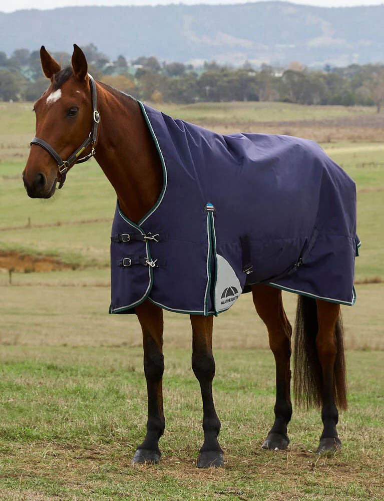 Weatherbeeta® ComFiTec™ Dynamic Turnout High Neck Blanket - Medium