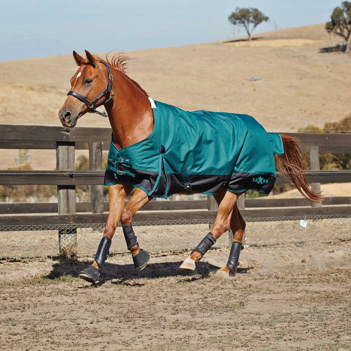Saxon Defiant Turnout Blanket 1200 Denier (Medium)