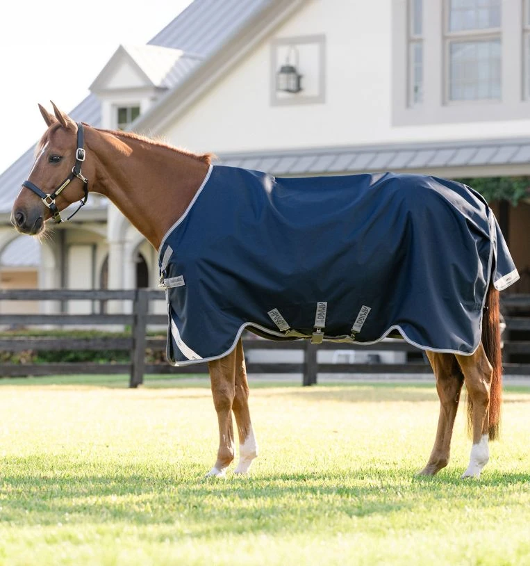 Amigo® 1200D Turnout Blanket (250g Medium)