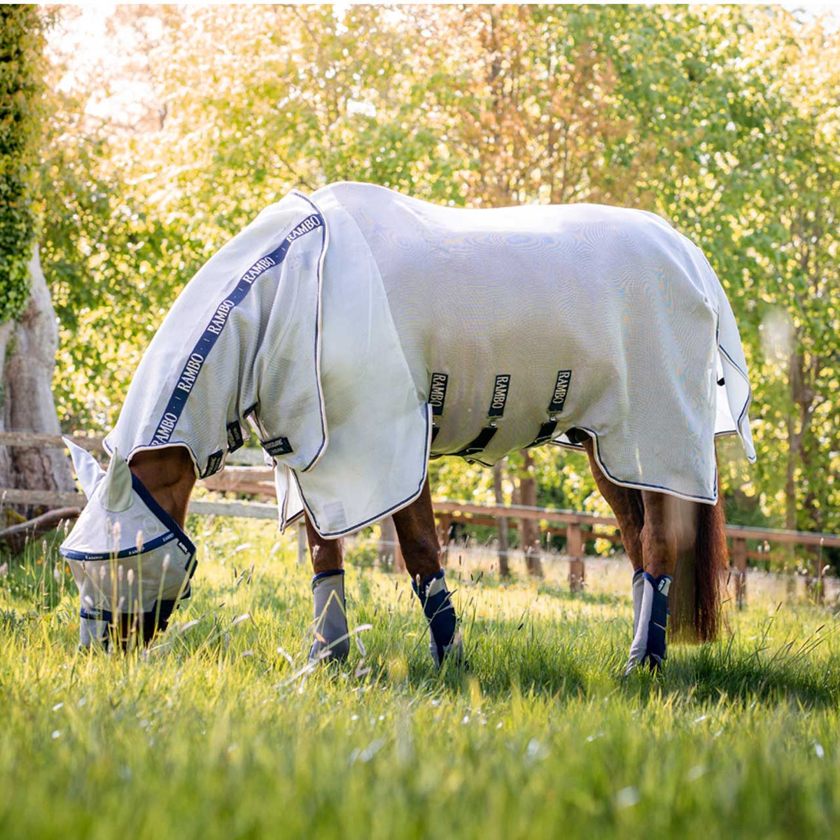 Rambo® Protector Plus Fly Sheet Rambo® Protector Plus Fly Sheet