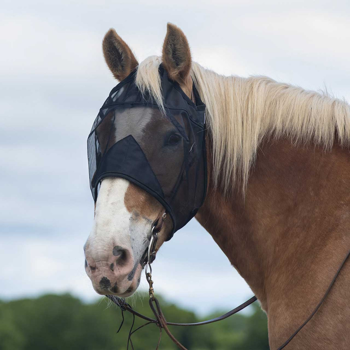 Cashel® Quiet Ride™ Fly Mask No Ears