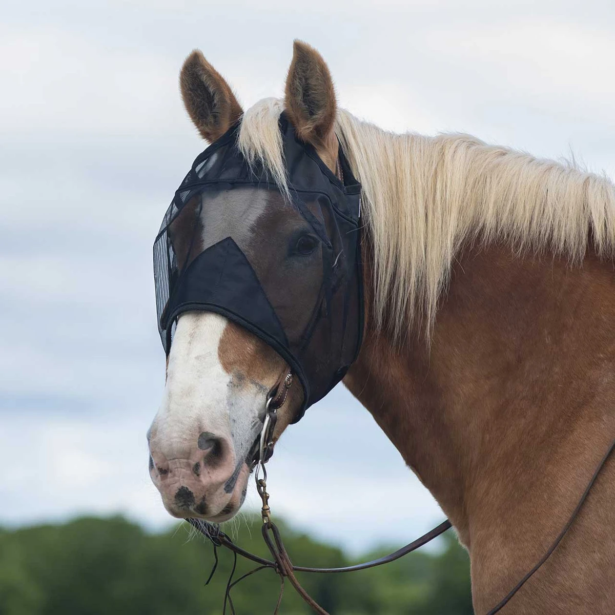 Cashel® Quiet Ride™ Fly Mask No Ears