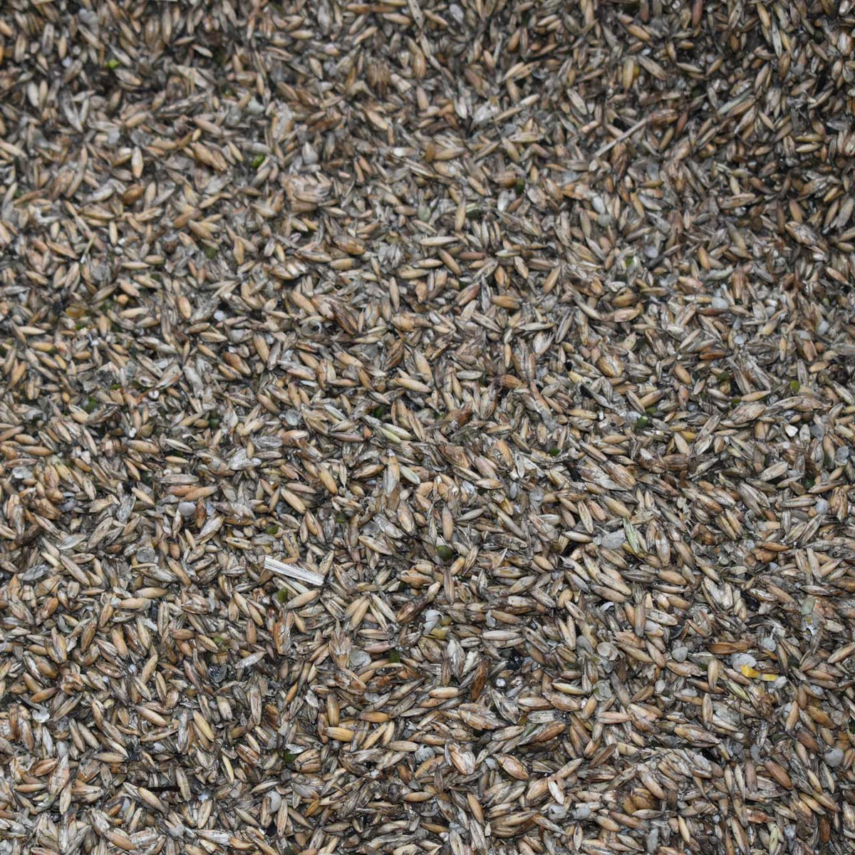 Heritage Organics Horse Feed 12% 50 lb