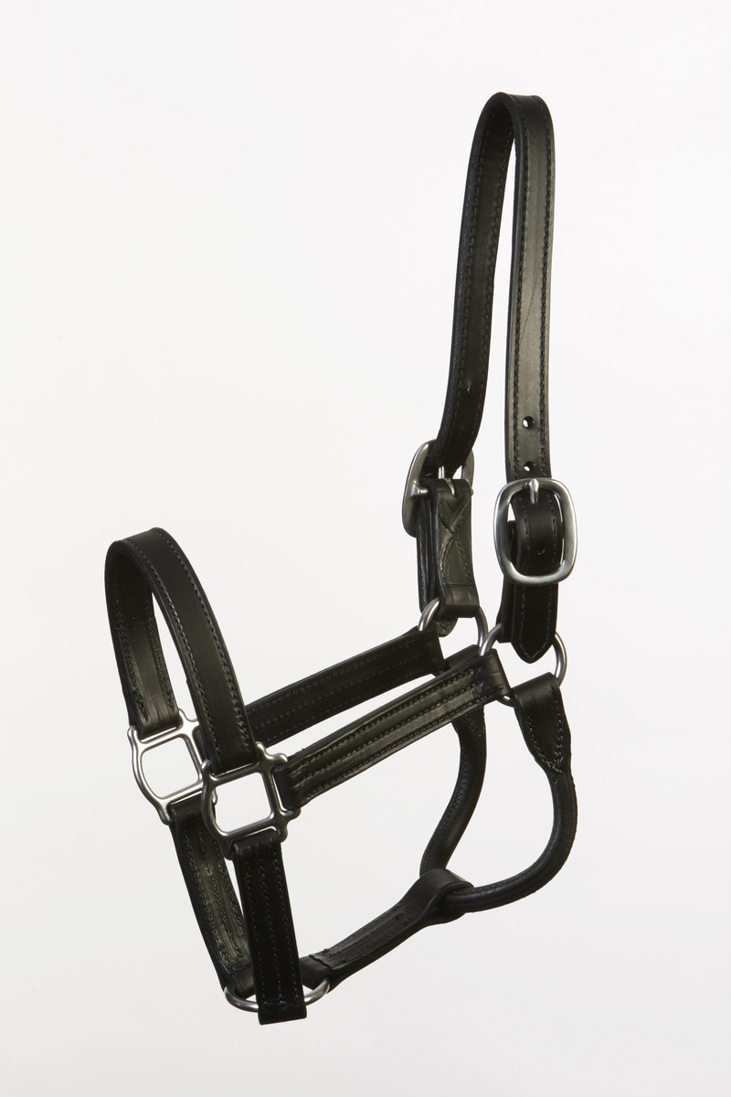 Short Yearling Size Sale Halter Black Leather