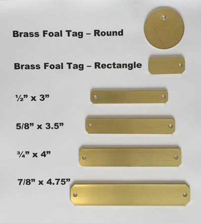 Brass Foal Tag - Rectangle