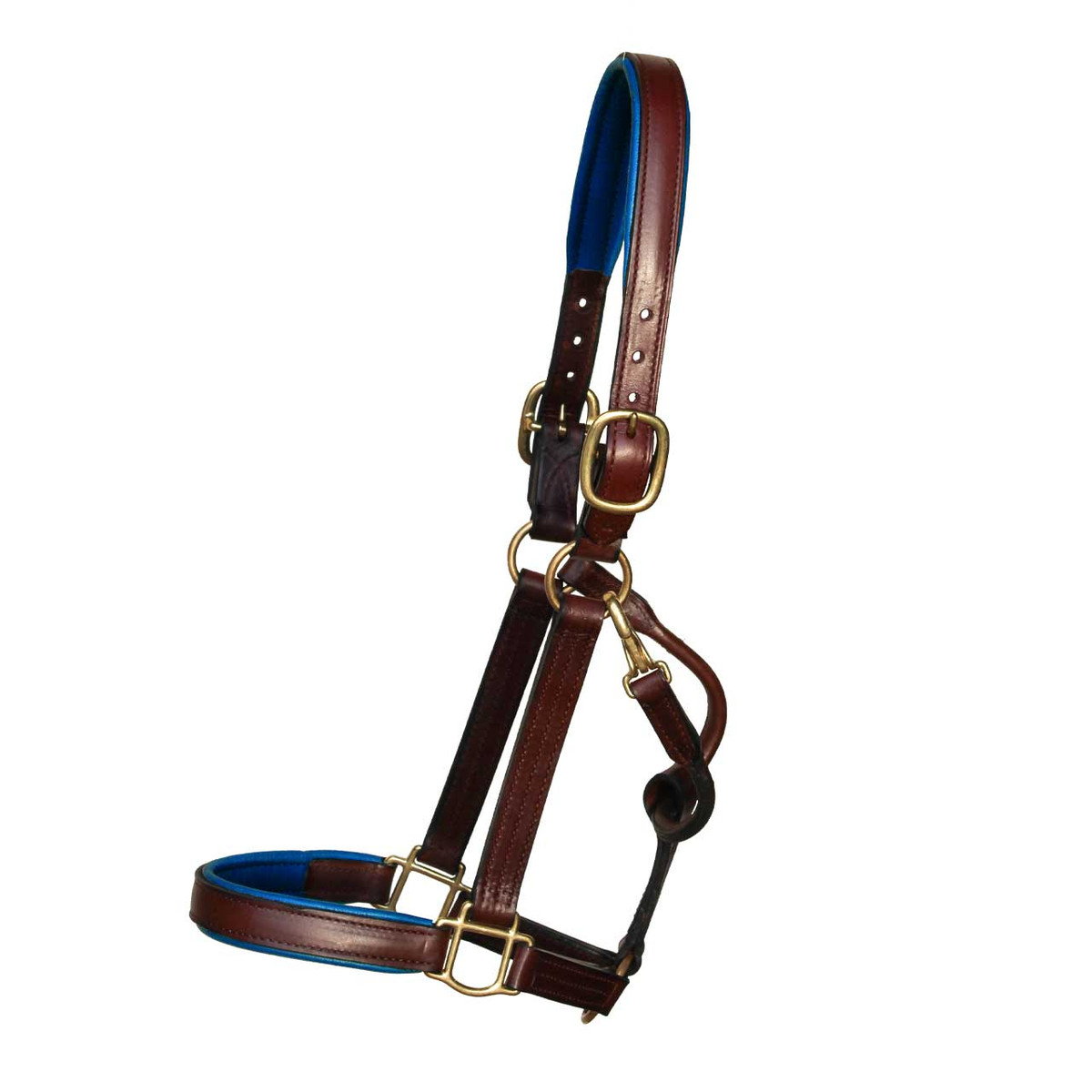 Padded Halter with English Chin & Throat Snap Brown Leather with Royal Padding