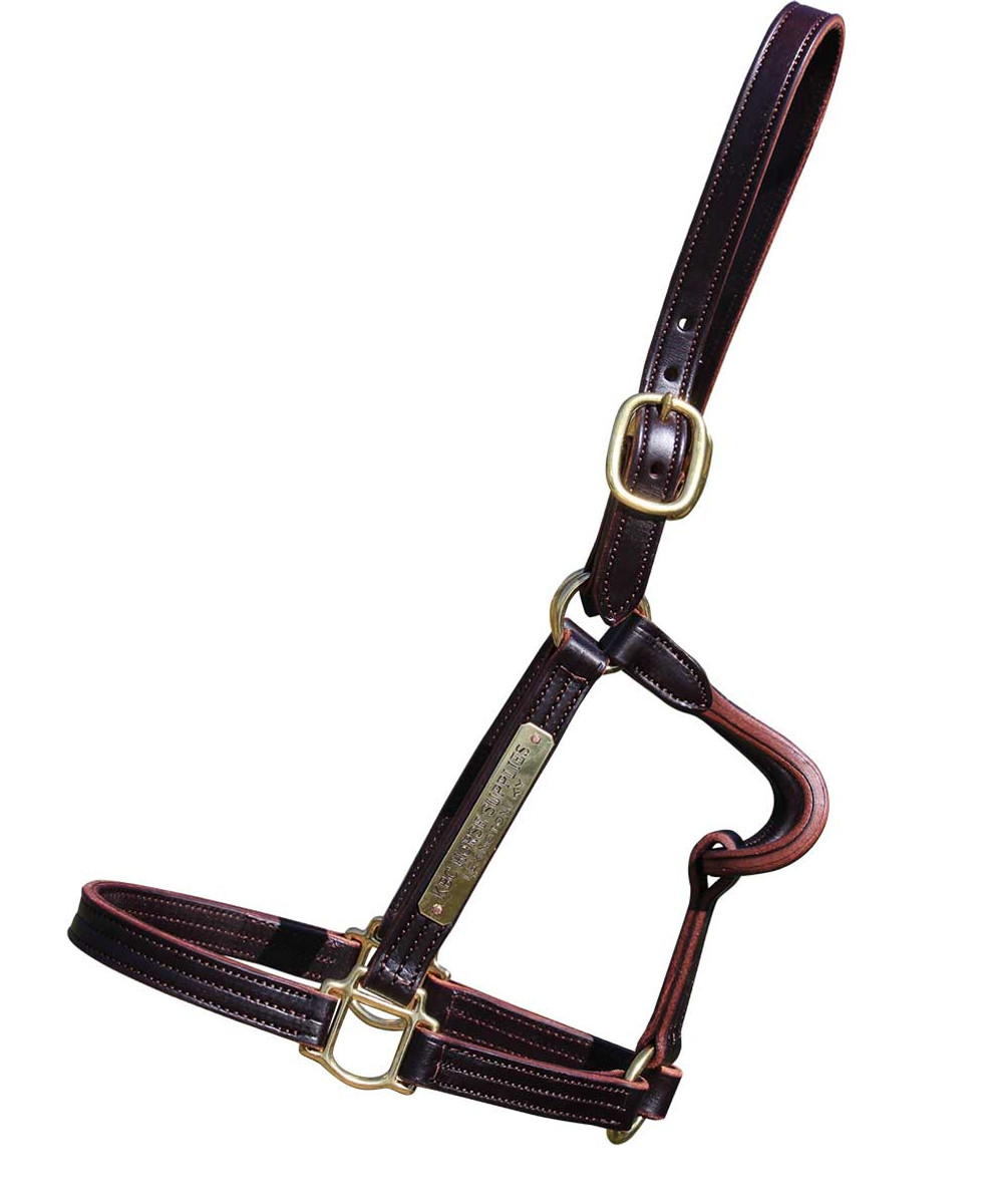 Horse Size Sale Halter - English Chin Triple Stitched Nose with engraved plate