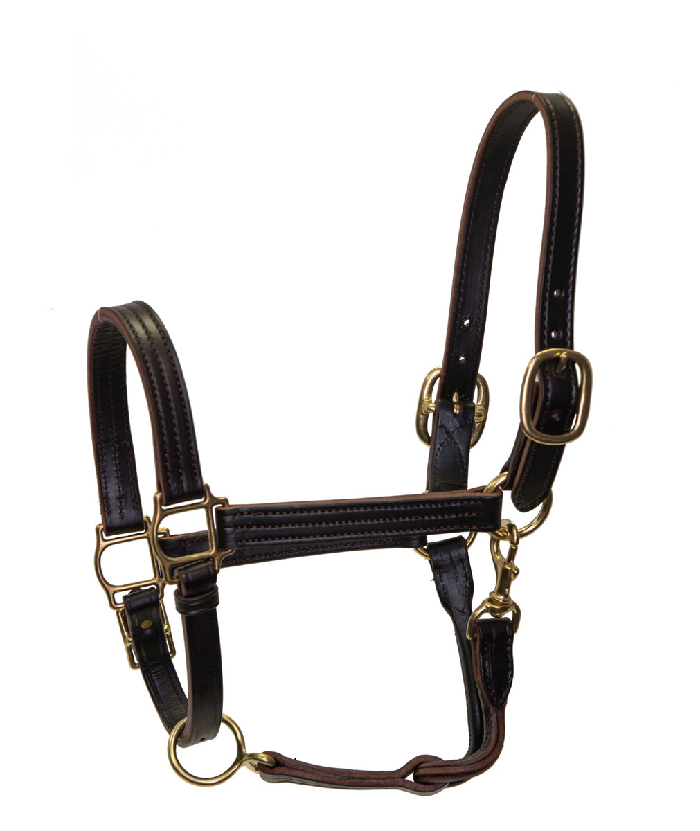 Sale Halter with Throat Snap - Yearling Size - Adjustable Chin - Triple Stitched Sale Halter with Throat Snap - Yearling Size - Adjustable Chin - Triple Stitched