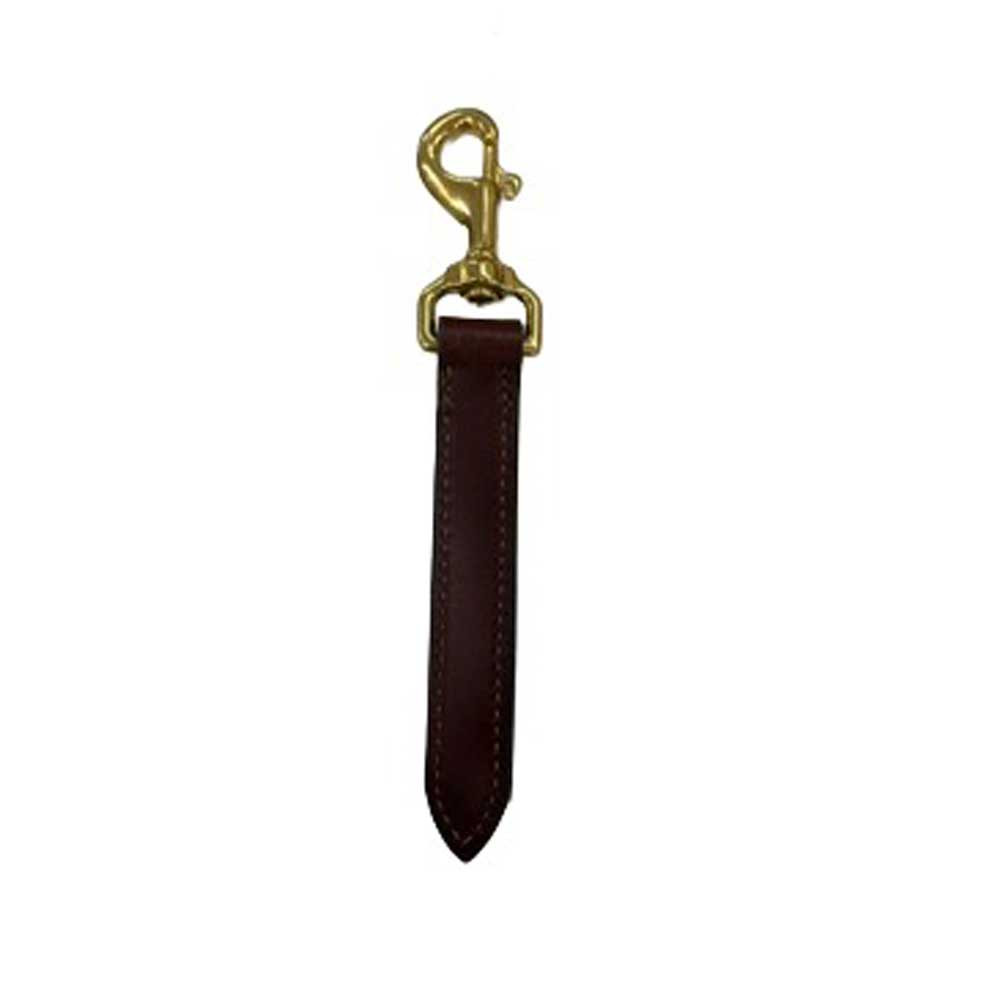Leather Halter Tag with Snap