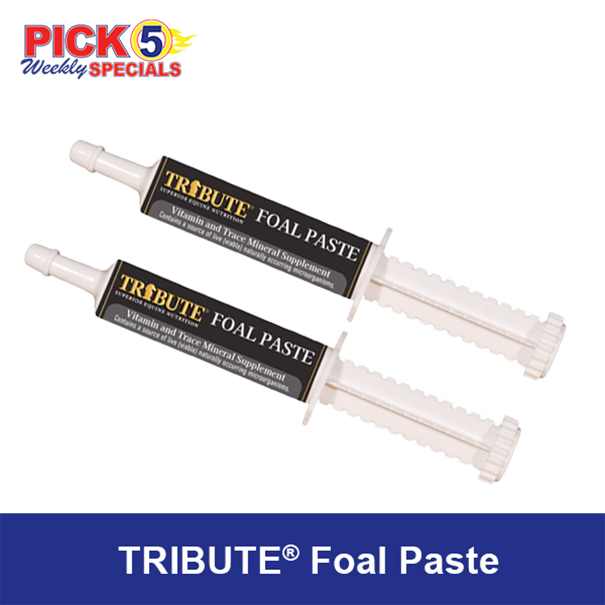 Tribute® Foal Paste - 30 mL.  On sale 1/18 - 1/31/26.