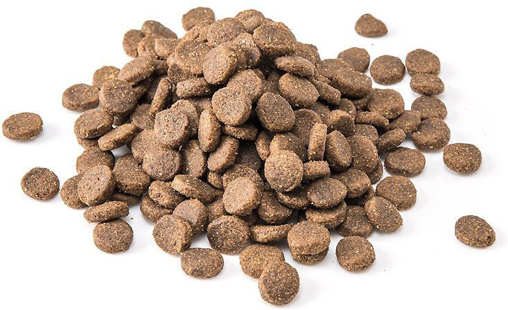 Taste Of The Wild®- Wetlands Wild Fowl Grain-Free Dog Food - 28 lb