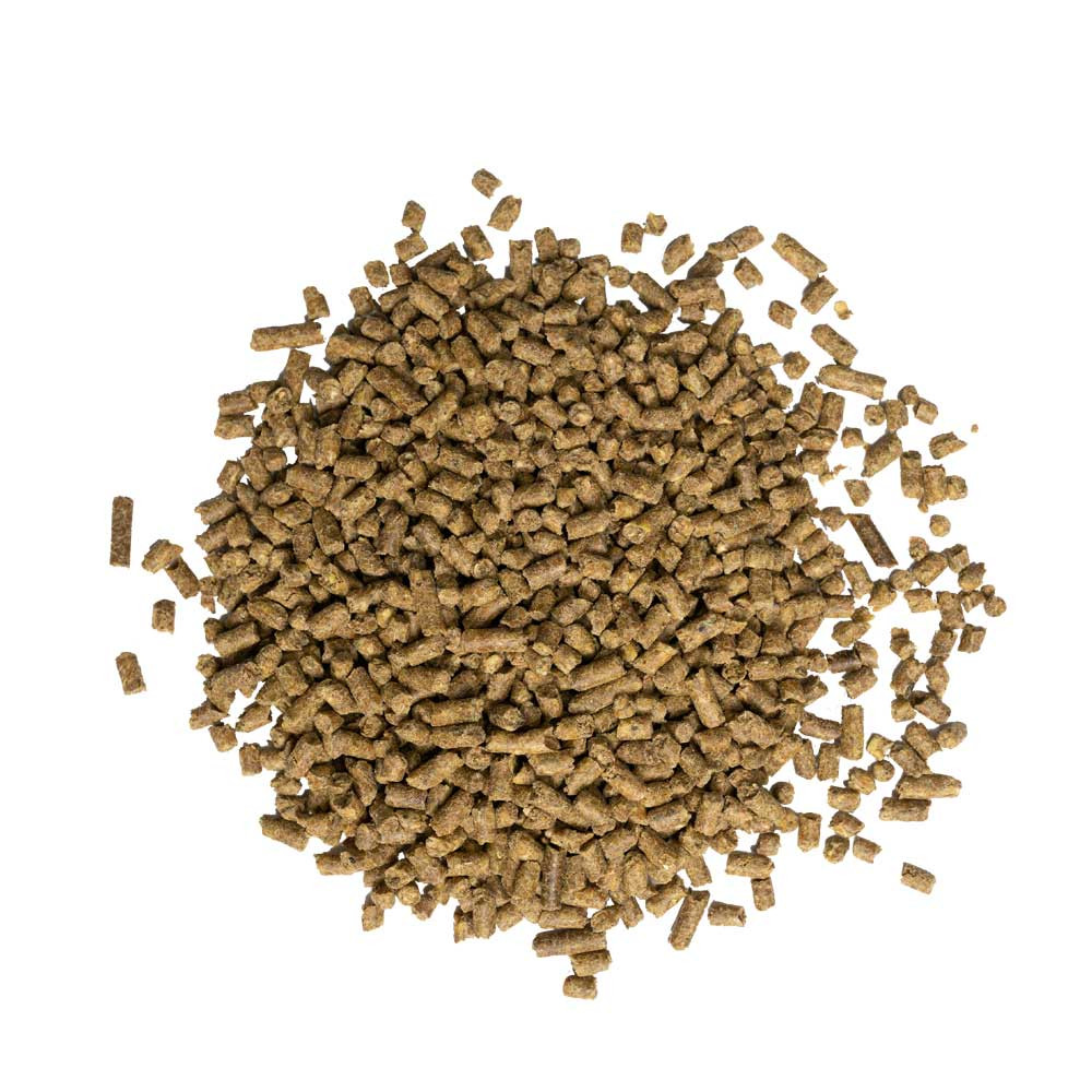 Tribute® Essential K® GC (no MSM) Ration Balancer - 50 lbs - KBC ...