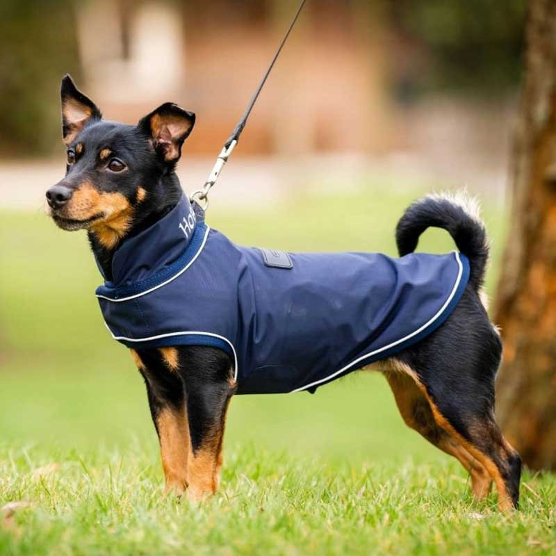 Horseware® Signature Dog Rain Coat (No Fill) KBC International