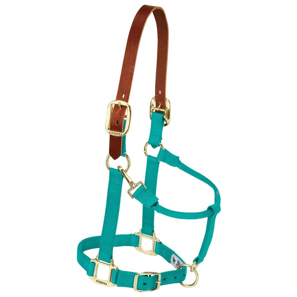 Weaver Leather Gewatteerde verstelbare kin en keel Snap Halter, 1 klein paard of speentocht, effen blauw Weaver Leather Gewatteerde verstelbare kin en keel Snap Halter, 1 klein paard of speentocht, effen blauw