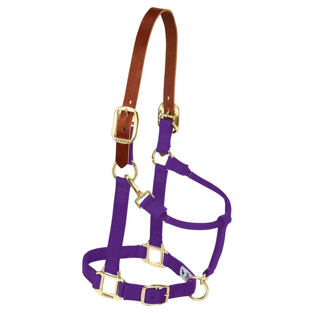 Weaver® Breakaway - Nylon Halter with Throat Snap - Adjustable