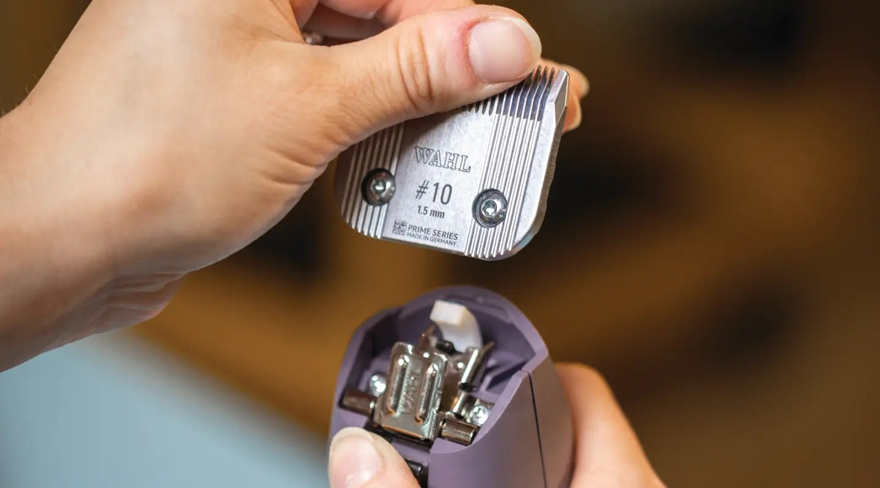 Wahl® KM10+ Two-Speed Clipper Horse Grooming