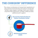 Cosequin® Optimized + MSM - 1400 gm