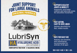 LubriSyn® HA Joint Care Original Large Animal 64 oz
