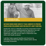 LubriSyn® HA Joint Care Plus MSM Large Animal 32 oz