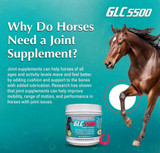 GLC® 5500 Equine Joint Support Powder 1085.5 gm (38.28 oz)