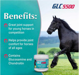 GLC® 5500 Equine Joint Support Powder 1085.5 gm (38.28 oz)