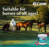 GLC® 5500 Equine Joint Support Powder 1085.5 gm (38.28 oz)