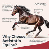 Actistatin® Equine Joint Support Powder 1124.5 gm (39.66 oz)