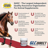 Actistatin® Equine Joint Support Powder 1124.5 gm (39.66 oz)