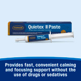 Quietex™ II Paste 1.09 oz (32.5 ml)