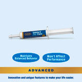 Quietex™ II Paste 1.09 oz (32.5 ml)