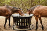 Tarter® Equine Hay Basket