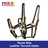 Horse Size Turnout Halter - Adjustable Chin.  On Sale 2/1 - 2/14/26.