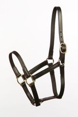 Horse Size Turnout Halter - English Chin