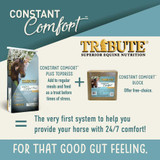 Tribute® Constant Comfort™ Block - 15 lb