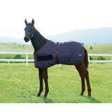 Weatherbeeta® 420D Foal Quilted Blanket