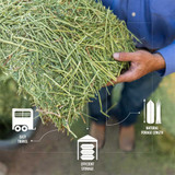 Standlee® Premium Alfalfa Grab & Go® Compressed Bale - 50 lbs